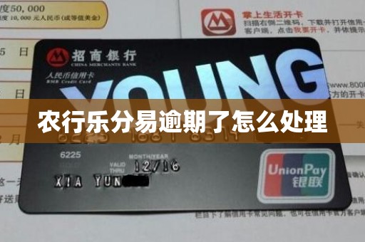 详细阅读:农行乐分易逾期了怎么处理 农行乐分易逾期了怎么处理
