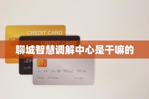 聊城智慧调解中心是干嘛的