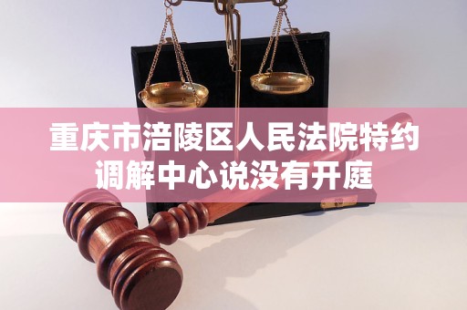 重庆市涪陵区人民法院特约调解中心说没有开庭