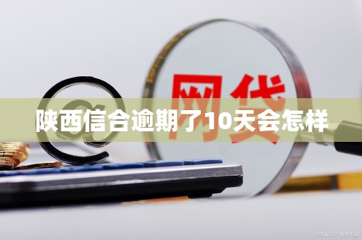 陕西信合逾期了10天会怎样