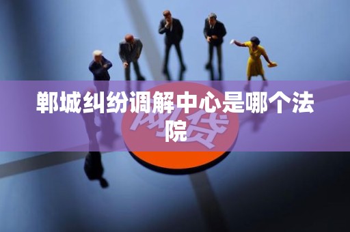 郸城纠纷调解中心是哪个法院