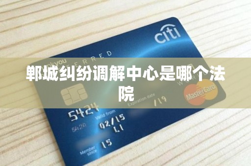 郸城纠纷调解中心是哪个法院