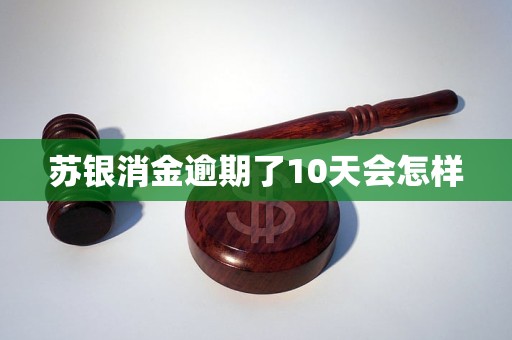 苏银消金逾期了10天会怎样