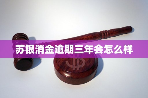 苏银消金逾期三年会怎么样