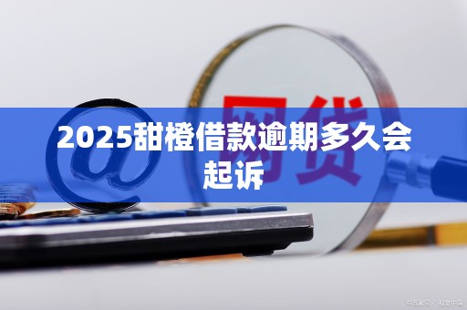 2025甜橙借款逾期多久会起诉