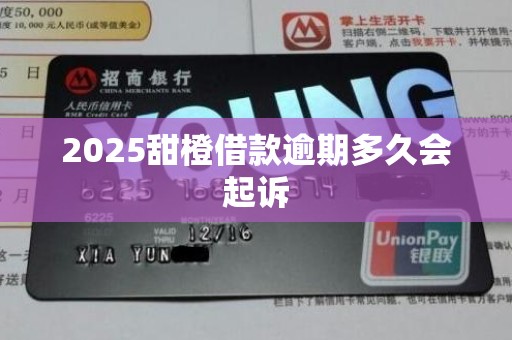 2025甜橙借款逾期多久会起诉