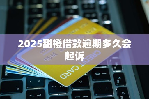 2025甜橙借款逾期多久会起诉