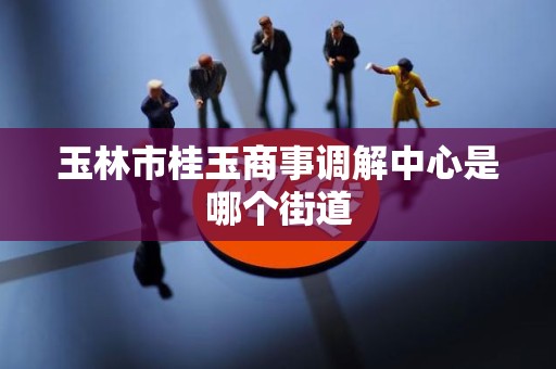 玉林市桂玉商事调解中心是哪个街道