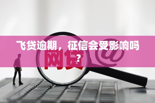 飞贷逾期，征信会受影响吗？