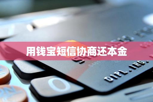 用钱宝短信协商还本金