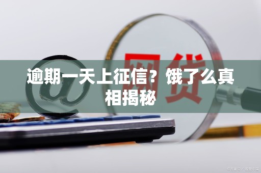 逾期一天上征信?饿了么真相揭秘