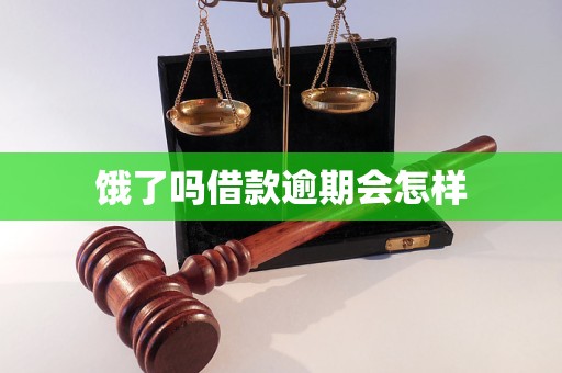 饿了吗借款逾期会怎样