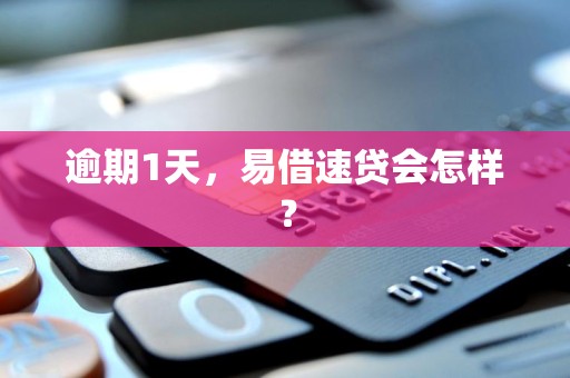 逾期1天，易借速贷会怎样？