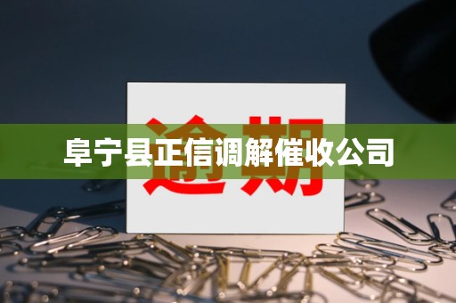 阜宁县正信调解催收公司