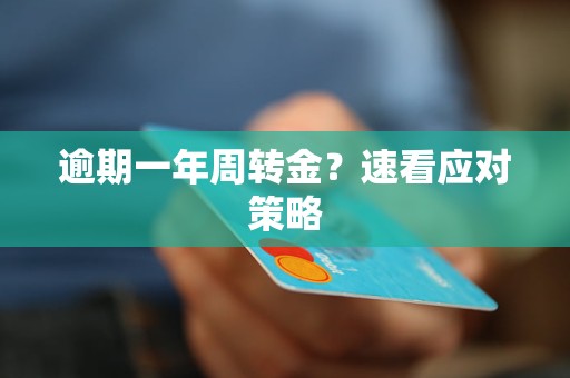 逾期一年周转金?速看应对策略