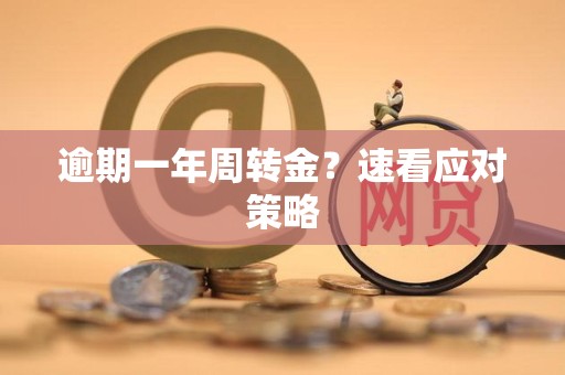 逾期一年周转金？速看应对策略