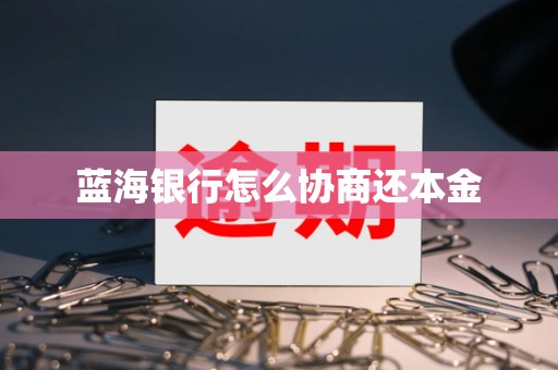 蓝海银行怎么协商还本金