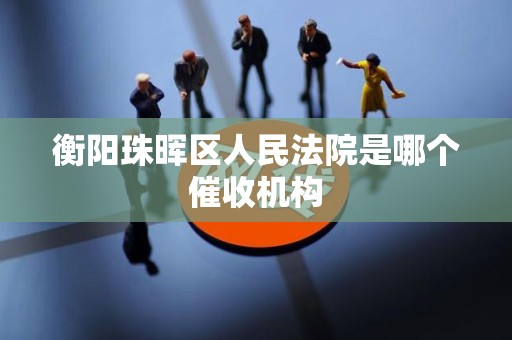 衡阳珠晖区人民法院是哪个催收机构