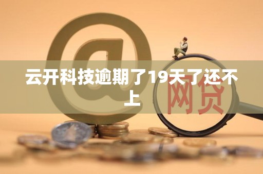 云开科技逾期了19天了还不上