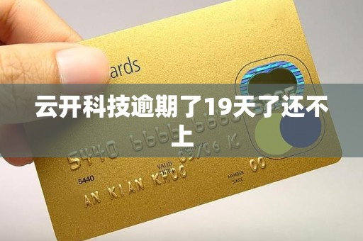 云开科技逾期了19天了还不上