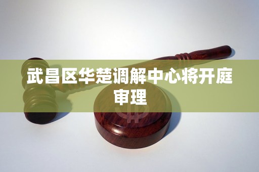 武昌区华楚调解中心将开庭审理