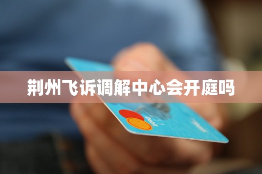 荆州飞诉调解中心会开庭吗