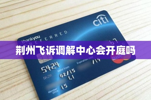 荆州飞诉调解中心会开庭吗