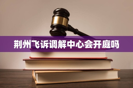 荆州飞诉调解中心会开庭吗
