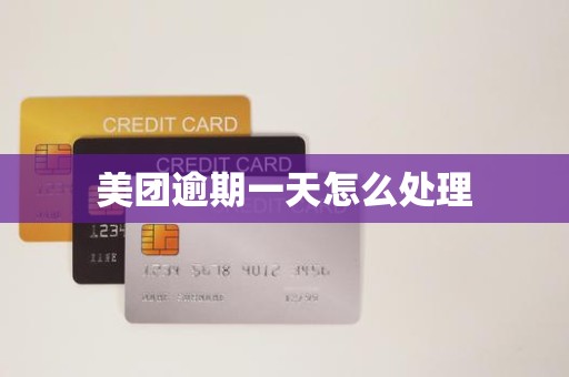 美团逾期一天怎么处理