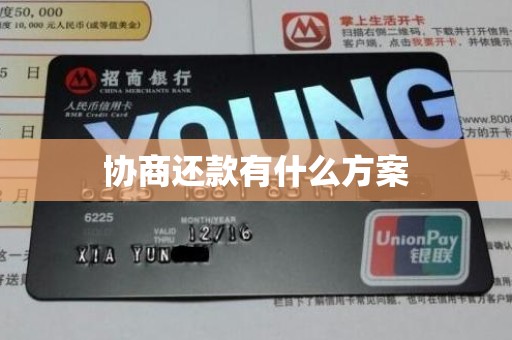 协商还款有什么方案