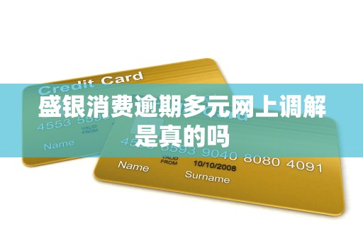 盛银消费逾期多元网上调解是真的吗