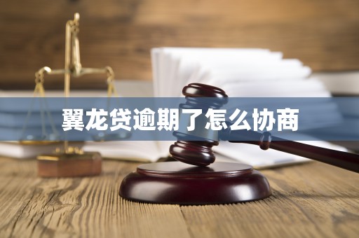 翼龙贷逾期了怎么协商