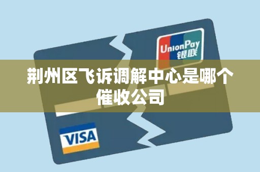 荆州区飞诉调解中心是哪个催收公司