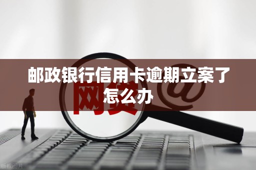 邮政银行信用卡逾期立案了怎么办