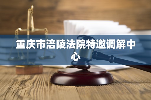 重庆市涪陵法院特邀调解中心