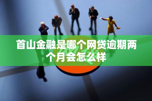 首山金融是哪个网贷逾期两个月会怎么样