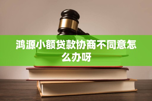 鸿源小额贷款协商不同意怎么办呀