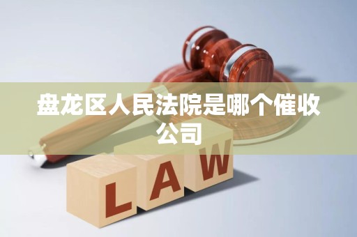 盘龙区人民法院是哪个催收公司