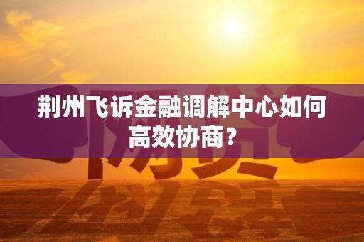 荆州飞诉金融调解中心如何高效协商？