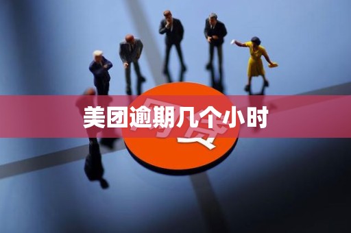 美团逾期几个小时