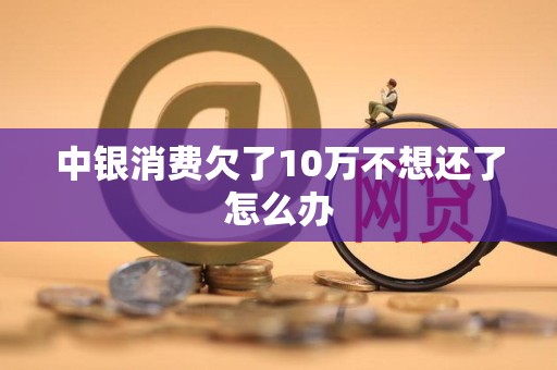 中银消费欠了10万不想还了怎么办