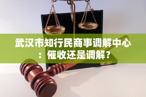武汉市知行民商事调解中心：催收还是调解？
