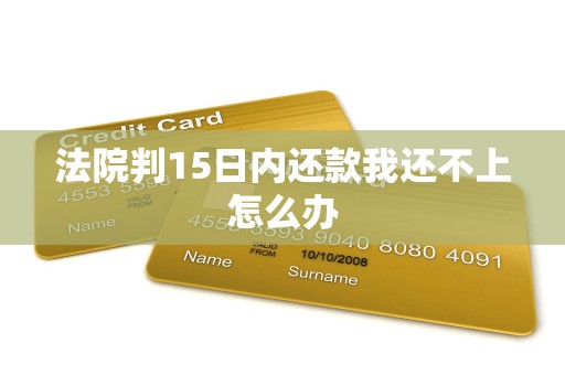 法院判15日内还款我还不上怎么办