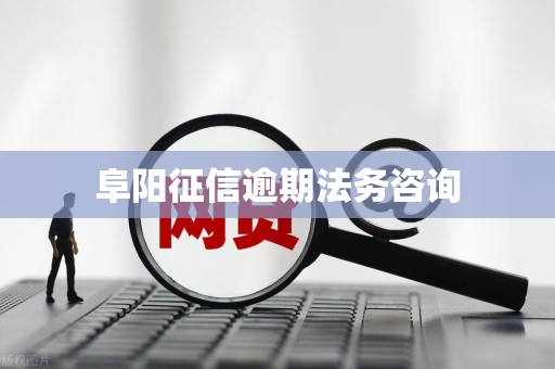 阜阳征信逾期法务咨询