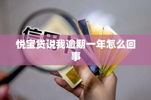 悦宝贷说我逾期一年怎么回事
