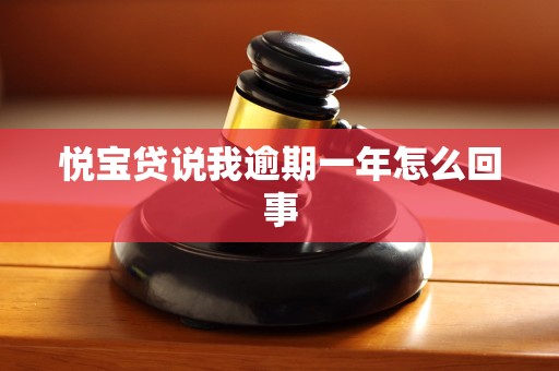 悦宝贷说我逾期一年怎么回事