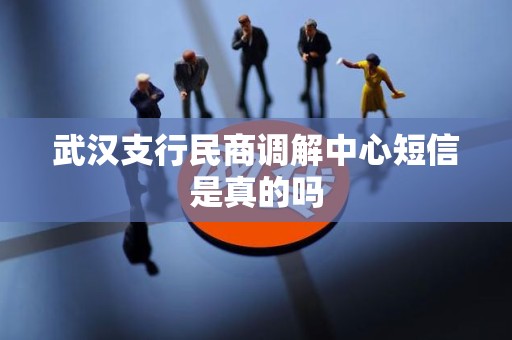 武汉支行民商调解中心短信是真的吗