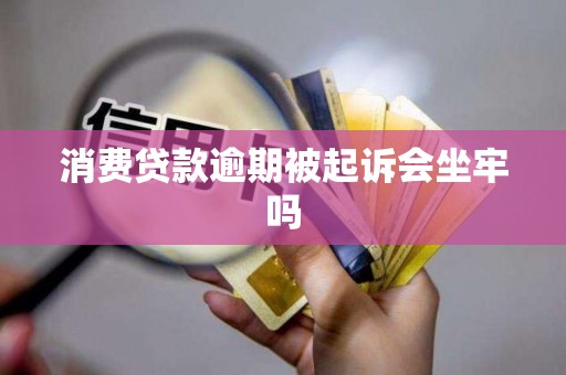 消费贷款逾期被起诉会坐牢吗