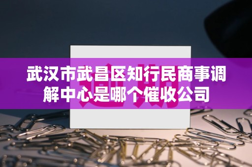 武汉市武昌区知行民商事调解中心是哪个催收公司