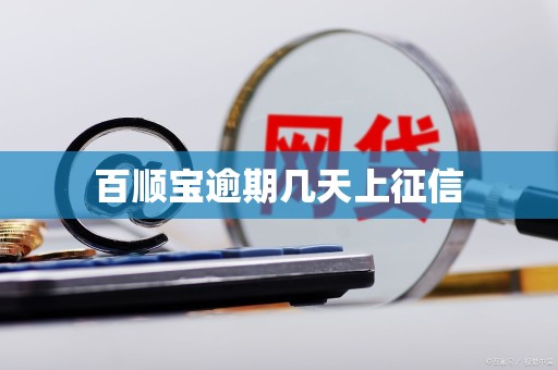 百顺宝逾期几天上征信